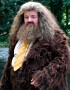 Rubeus Hagrid