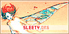 sleety-code-100